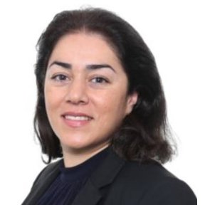 Sahel Naghshineh, Software Developer, NORA AI